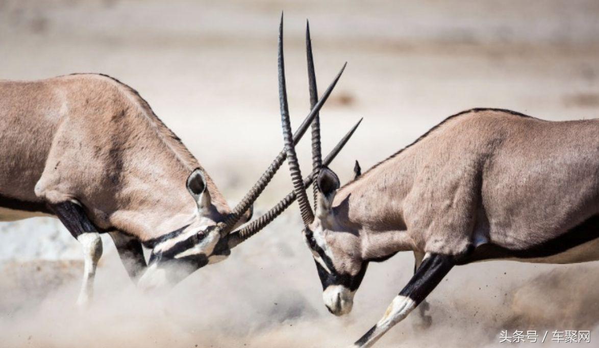 哪個(gè)銀行抵押車貸款好(銀行抵押貸款買車)-添財(cái)網(wǎng)