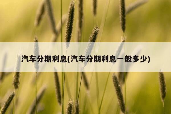 汽車抵押貸款利息一般是多少(抵押車子貸款利息)-添財網