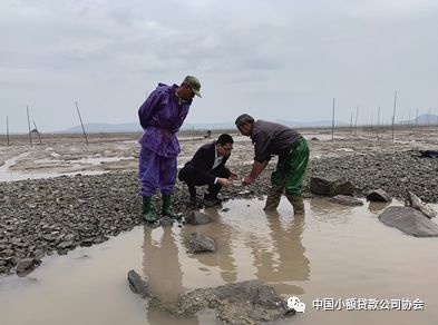 線下小額貸款公司(小額貸款線下公司合法嗎)-添財網(wǎng)