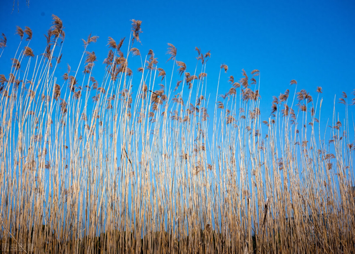 貸款代辦公司可靠嗎(可靠代辦貸款公司怎么樣)-添財網