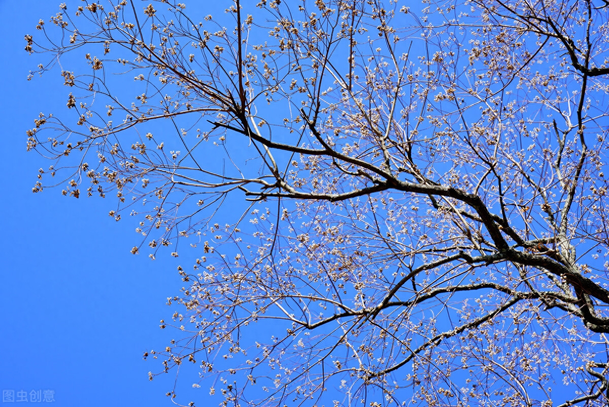 貸款代辦公司可靠嗎(可靠代辦貸款公司怎么樣)-添財網