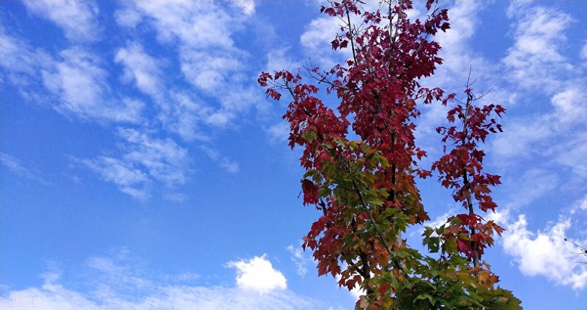 貸款代辦公司可靠嗎(可靠代辦貸款公司怎么樣)-添財網