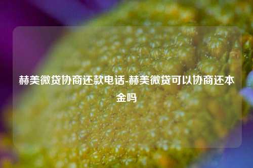 深圳赫美小額貸款股份有限公司(深圳赫美小額貸款股份有限公司)-添財網(wǎng)