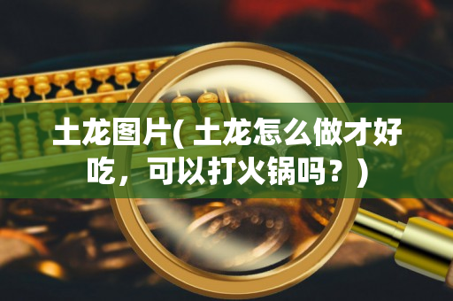 二手車抵押借款(抵押借款二手車合法嗎)-添財網(wǎng)