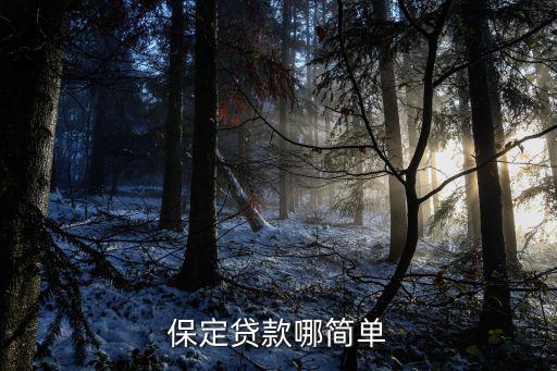 保定貸款公司哪家正規(guī)(保定信貸公司)-添財網(wǎng)