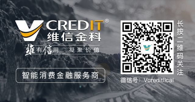 維仕擔(dān)保有限公司是哪家貸款(貸款擔(dān)保公司是干嘛的)-添財網(wǎng)