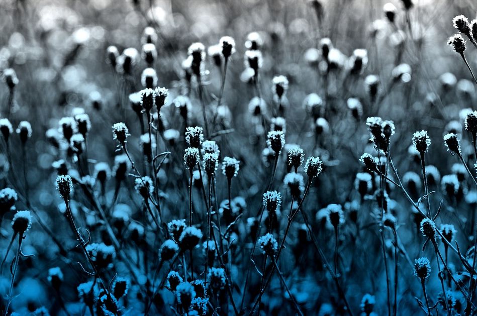 維仕擔(dān)保有限公司是哪家貸款(維仕擔(dān)保有限公司墊款)-添財(cái)網(wǎng)