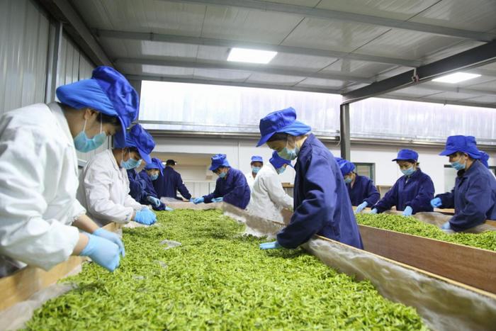 浙農小額貸款有限公司(拿房產證去小額公司貸款)-添財網