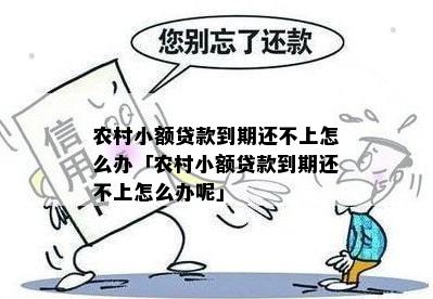 小額貸款公司的錢可以不還嗎(小額貸款公司可以向個人借款嗎)-添財網