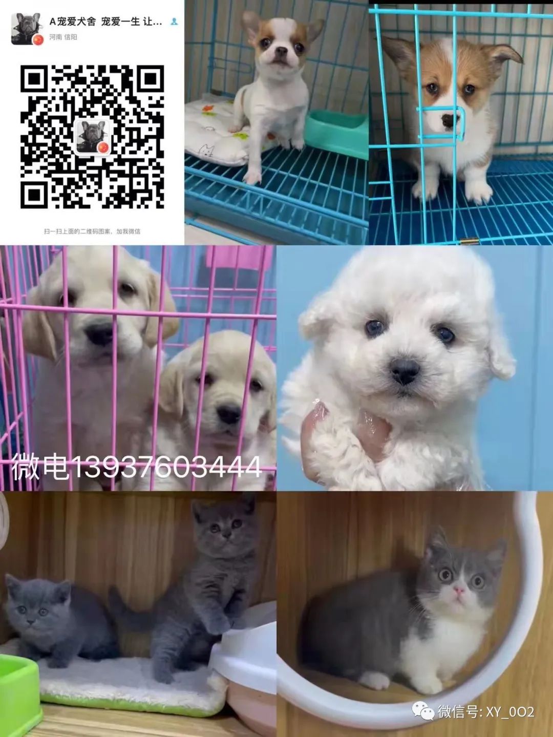 24小時(shí)上門抵押回收典當(dāng)手機(jī)(24小時(shí)上門抵押回收典當(dāng)手機(jī))-添財(cái)網(wǎng)