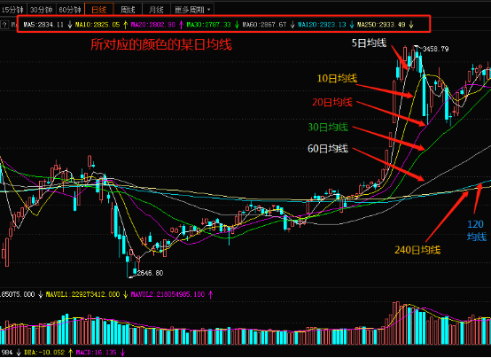 怎樣看走勢圖(走勢圖看多少期)-添財網(wǎng)