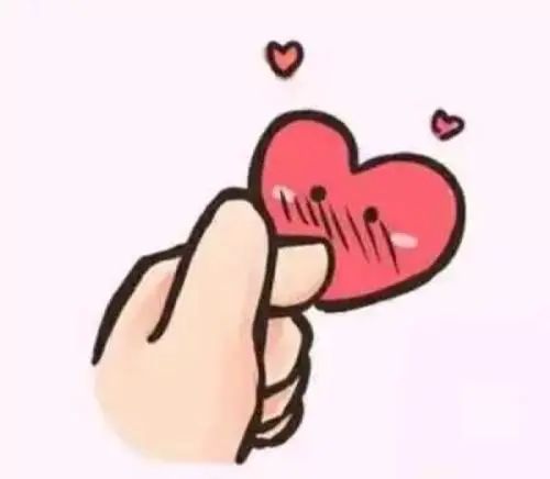 學平險多少錢一年(學平險多少錢一年)-添財網