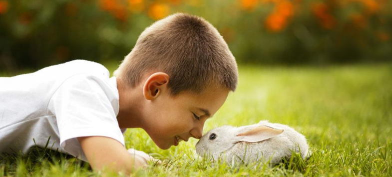 什么是學平險(學平險的含義)-添財網