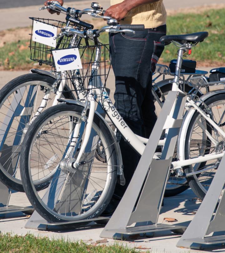 騎唄(騎大馬騎小馬)-添財網(wǎng)