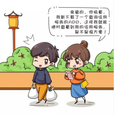 鵬元征信(鵬元征信app)-添財網