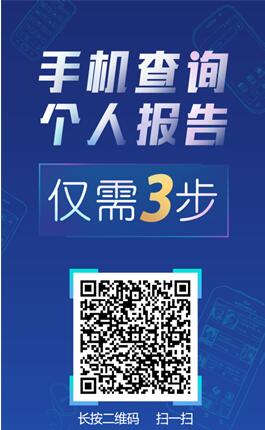 鵬元征信(鵬元征信app)-添財網