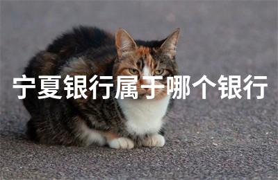 寧夏銀行官網(wǎng)(寧夏官網(wǎng)銀行客服電話)-添財(cái)網(wǎng)