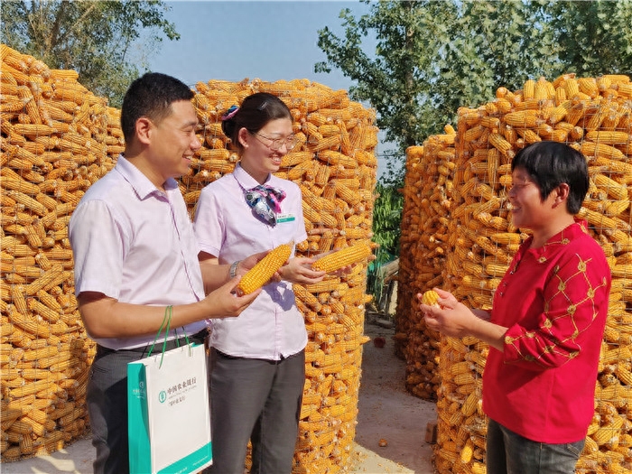 農行k令(金e順農行k令)-添財網