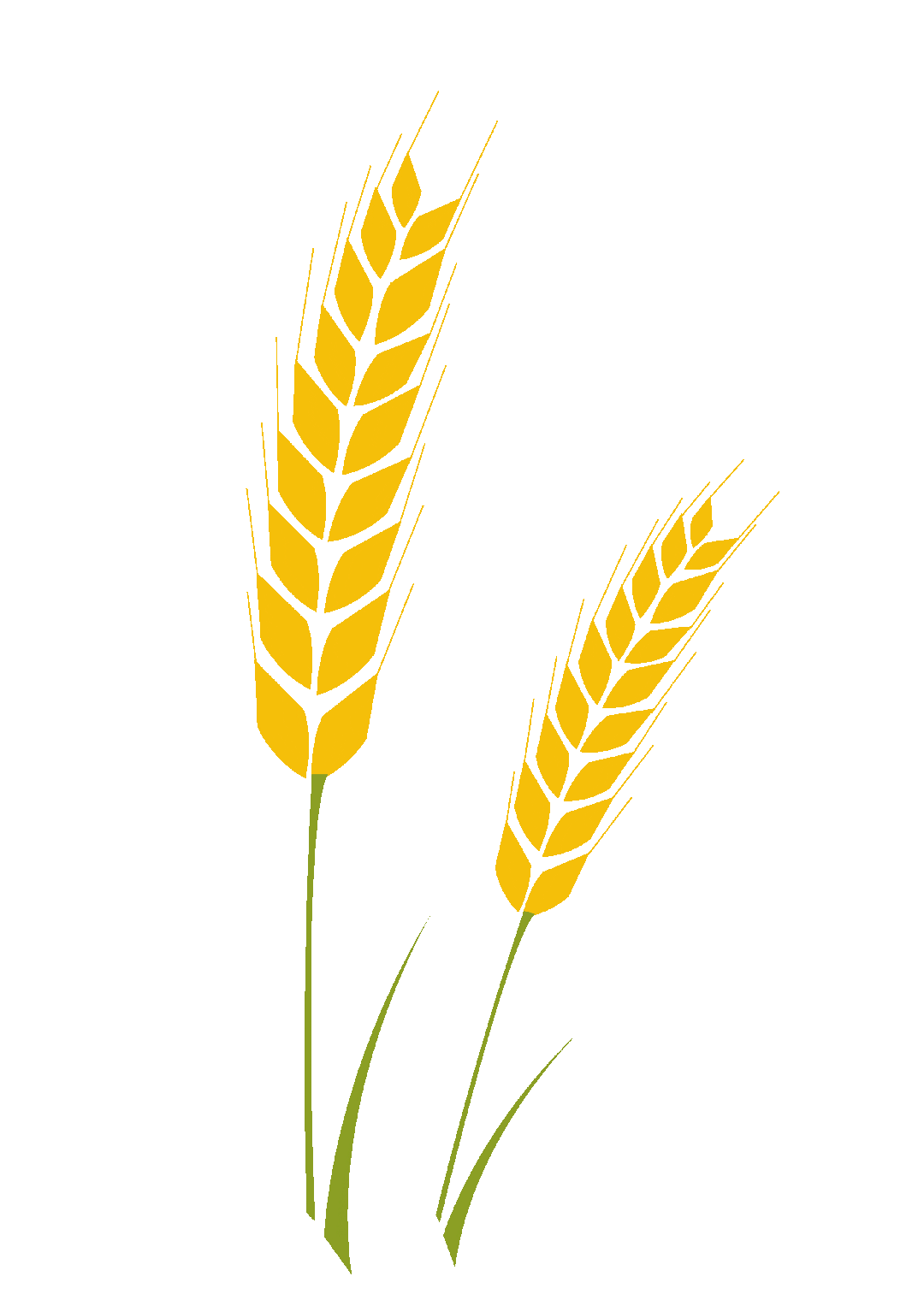 諾安成長混合(諾安成長混合調倉哪里看)-添財網