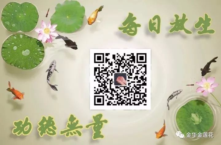 剖腹產什么業障(剖腹產佛教因果)-添財網