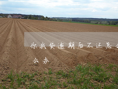 你我貸逾期(逾期貸款平臺哪個好下款快)-添財網