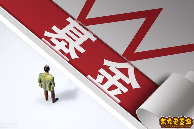 買基金會賠錢嗎(買基金會賠錢嗎現在)-添財網