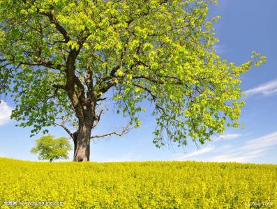 毛利潤什么意思(毛利潤的意思)-添財網