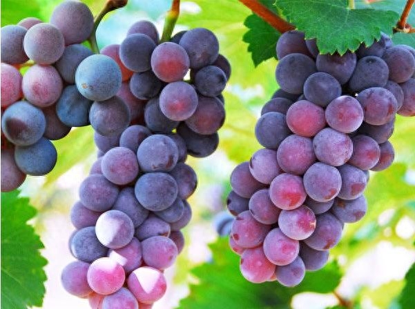 快處易賠(快處易賠)-添財(cái)網(wǎng)