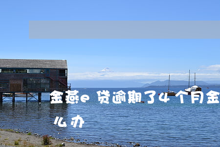 金燕e貸(金燕e貸)-添財網(wǎng)