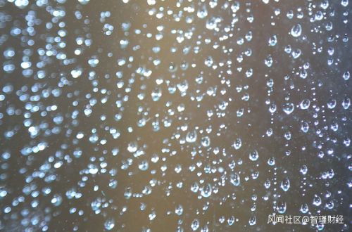 金美信消費金融(金美信消費金融有寬限期嗎)-添財網