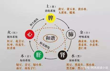 金本什么字(金本什么字)-添財網