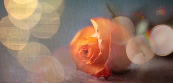 駕意險(駕意險)-添財網