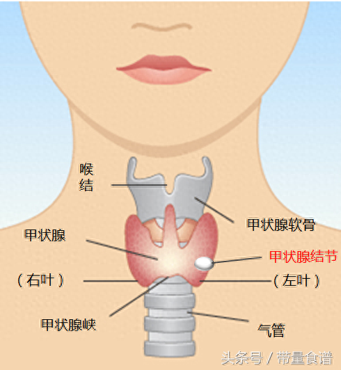 甲亢算是大病嗎(大病算甲亢是什么病)-添財(cái)網(wǎng)