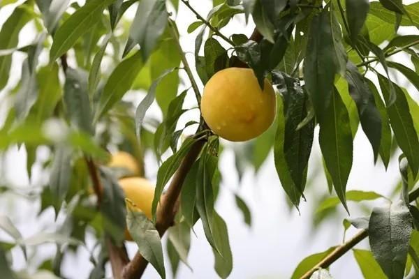 壞銀行(壞銀行第一季)-添財網(wǎng)