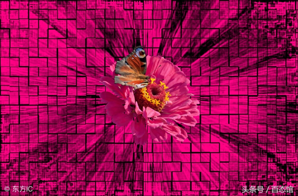 蝴蝶效應(yīng)啥意思(蝴蝶效應(yīng)意思是)-添財(cái)網(wǎng)