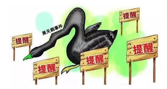 黑天鵝是什么意思(天鵝是黑的)-添財網