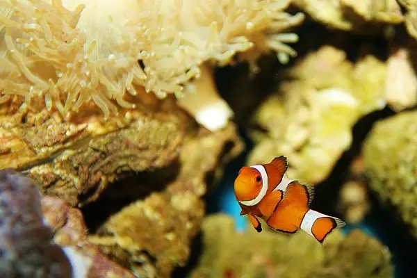 國任車險怎么樣(車險國任保險怎么樣)-添財網