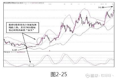 乖離率指標(技術指標乖離率)-添財網