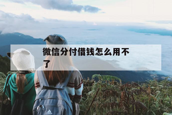 分付怎么借錢出來到微信(借到微信錢包的借款)-添財網