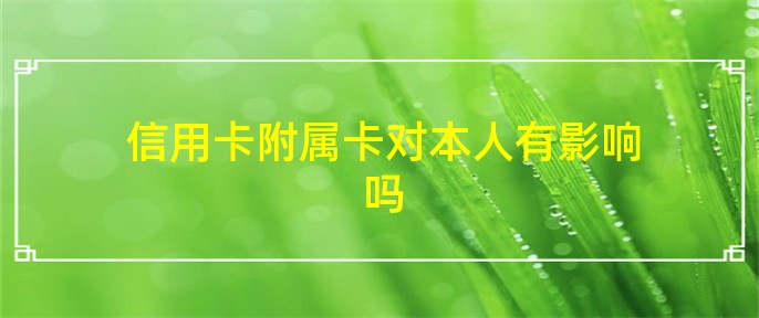 附屬卡是什么意思(附屬卡的意思)-添財網