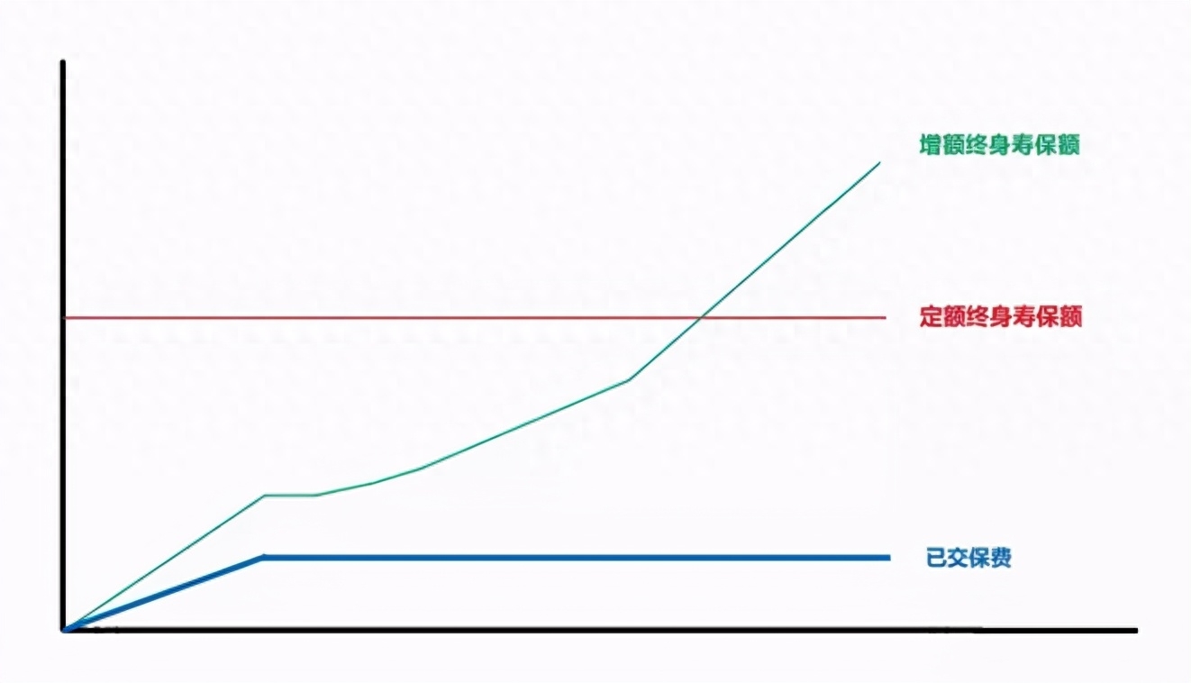 躉交什么意思(什么叫做躉繳)-添財網