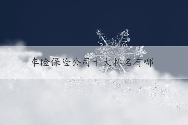 車險公司排名(車險保險公司排名)-添財網