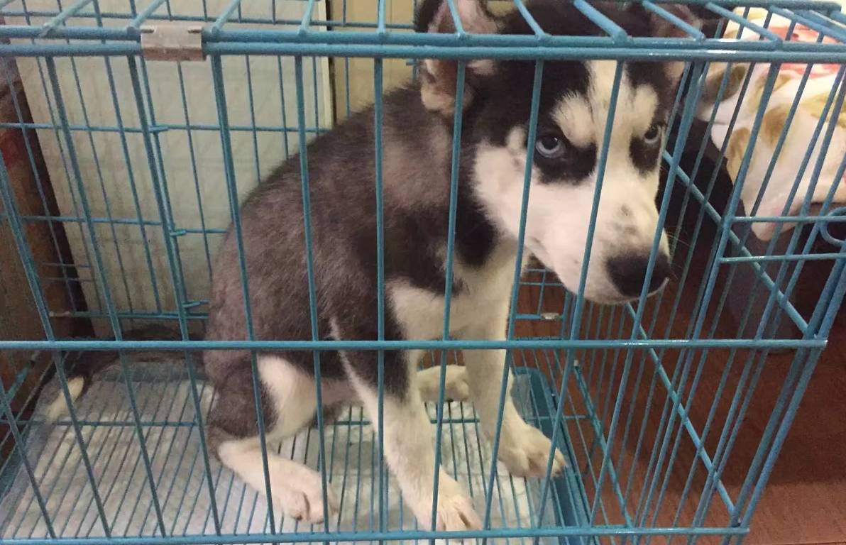 炒股能發家致富嗎(有沒有人通過炒股發家致富的)-添財網