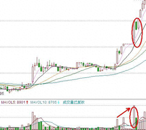 倉位是什么意思(倉位的意思)-添財網
