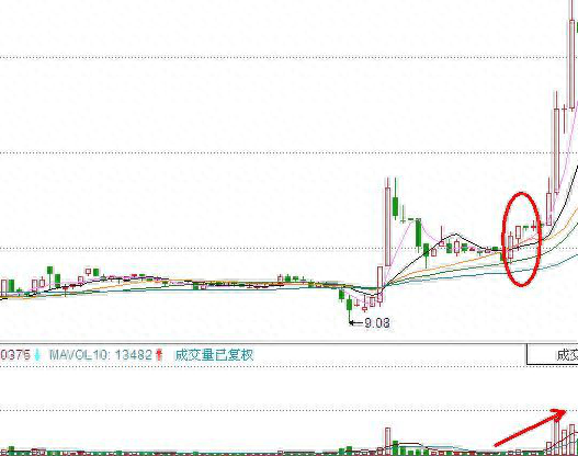 倉位是什么意思(倉位的意思)-添財網