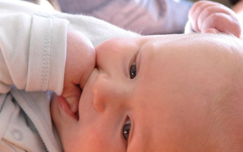 博民快易貸(博民快易貸合同)-添財網