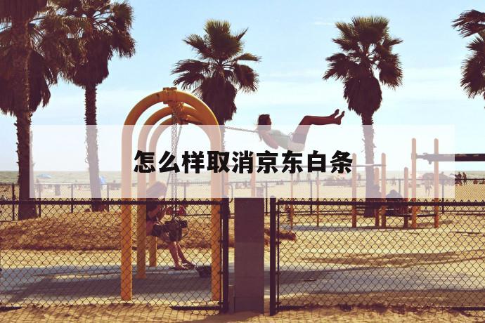 白條怎么注銷(注銷白條和關閉白條有什么區別)-添財網