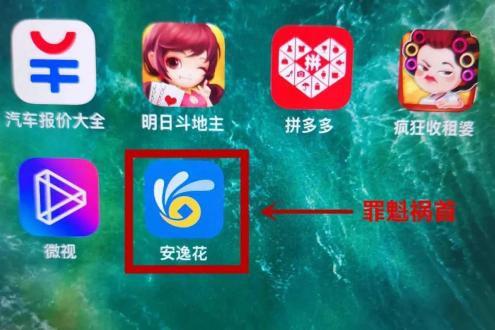 安逸花客服(安逸花app客服)-添財網