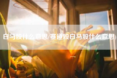 白馬股是什么意思(白馬是指什么股票)-添財(cái)網(wǎng)