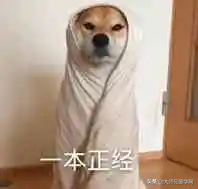 myr是什么貨幣(貨幣是什么)-添財網